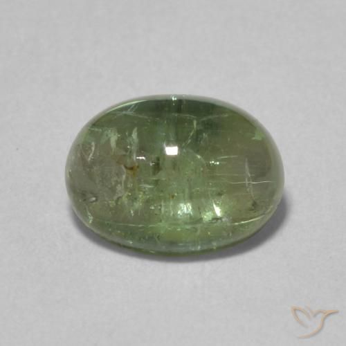 1.52ct 天然 ミディアムグリーン トルマリン, 楕円形, 透明