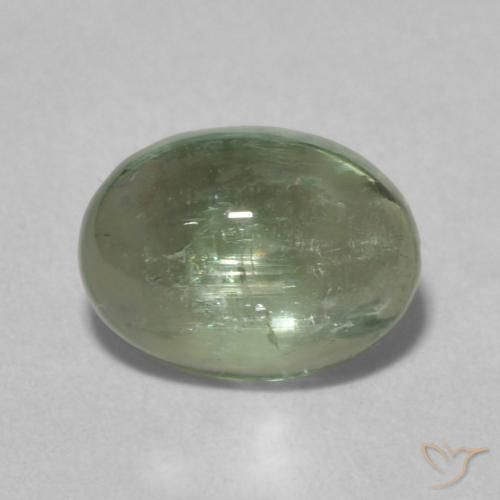 1.39ct 天然 Medium Light-Green トルマリン, 楕円形, 透明