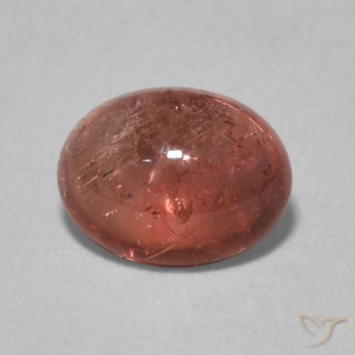1.59ct 天然 ミディアムレッド トルマリン, 楕円形, 透明