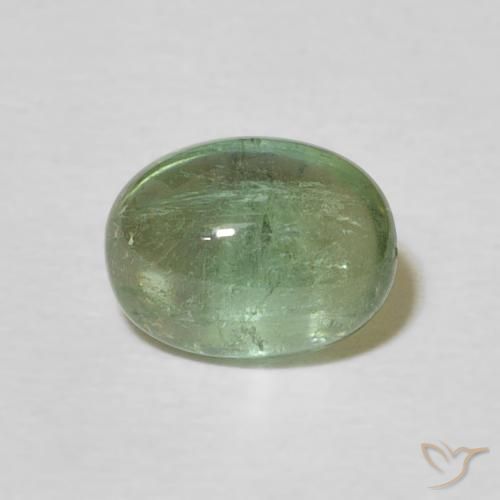 1.74ct 天然 ウォームグリーン トルマリン, 楕円形, 透明