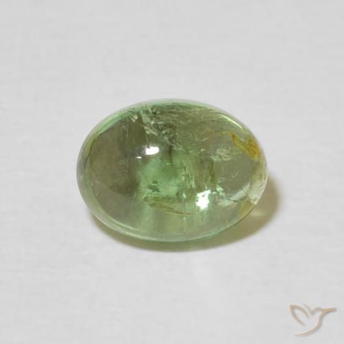 1.51ct 天然 ミディアムグリーン トルマリン, 楕円形, 透明