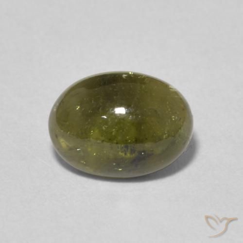 1.48ct 天然 ダークグリーン トルマリン, 楕円形, 透明