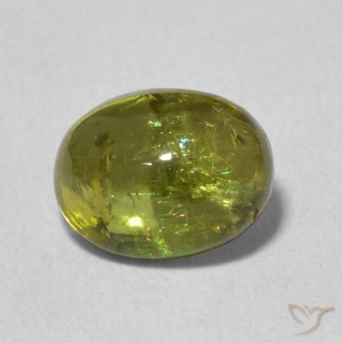 1.42ct 天然 ウォームグリーン トルマリン, 楕円形, 透明