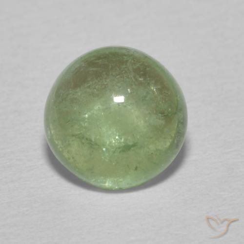 1.49ct 天然 薄いアースグリーン トルマリン, ラウンド, 透明