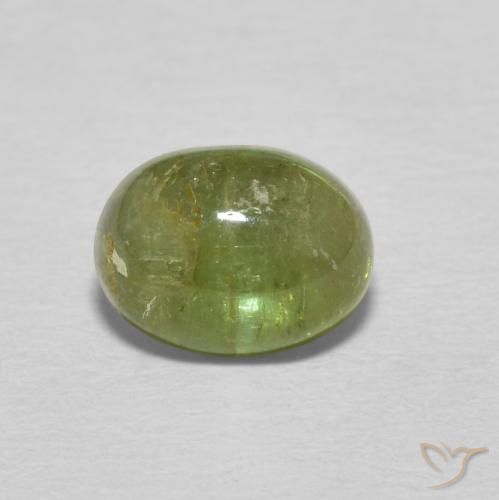 1.24ct 天然 アースグリーン トルマリン, 楕円形, 透明
