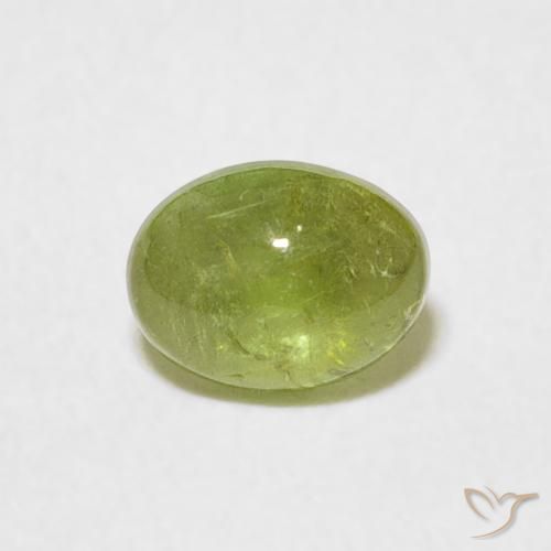 0.69ct 天然 オリーブグリーン トルマリン, 楕円形, 透明