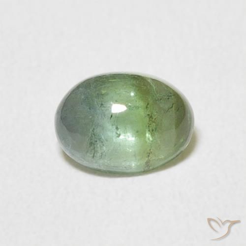 0.69ct 天然 Medium Light Green トルマリン, 楕円形, 透明