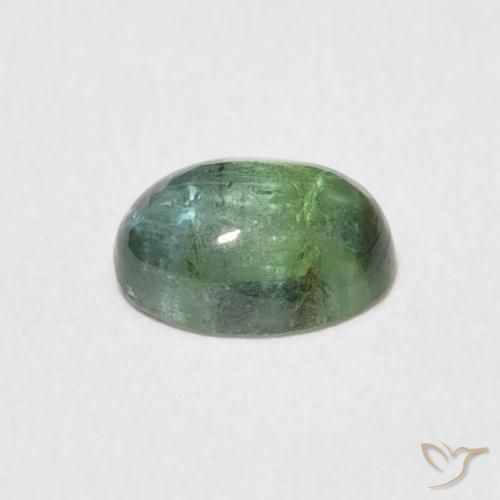0.69カラットの天然Medium Light Greenトルマリン、楕円形、透明