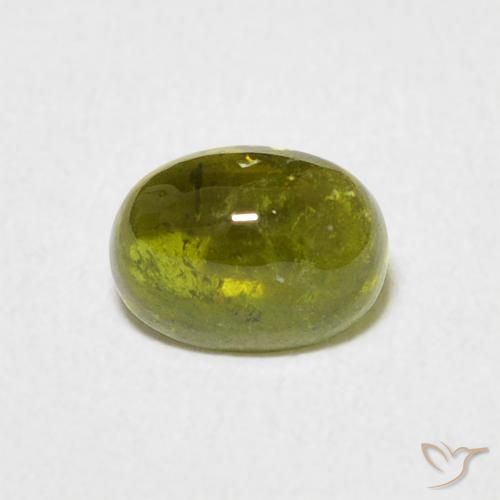 0.80ct 天然 ウォームフォレストグリーン トルマリン, 楕円形, 透明