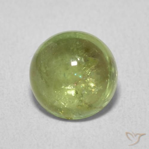 1.61ct 天然 オリーブグリーン トルマリン, ラウンド, 透明