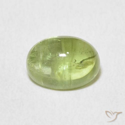 1.57ct 天然 薄いライブリーグリーン トルマリン, 楕円形, 透明, Photo A