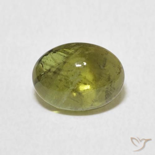 1.37ct 天然 ミディアムグリーン トルマリン, 楕円形, 透明
