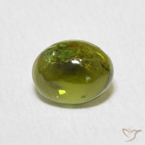 0.73ct 天然 ミディアムグリーン トルマリン, 楕円形, 透明