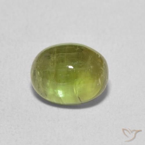 1.39ct 天然 薄いフォレストグリーン トルマリン, 楕円形, 透明