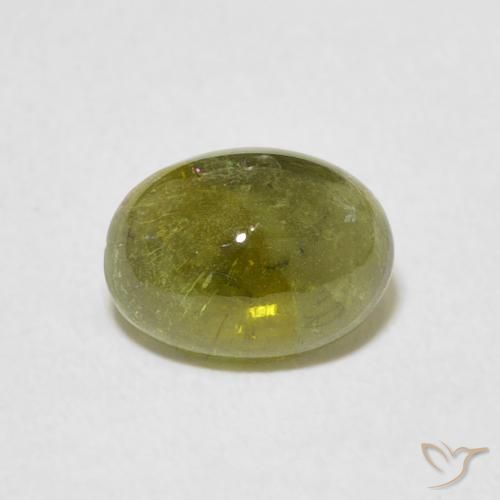 1.29ct 天然 ミディアムグリーン トルマリン, 楕円形, 透明