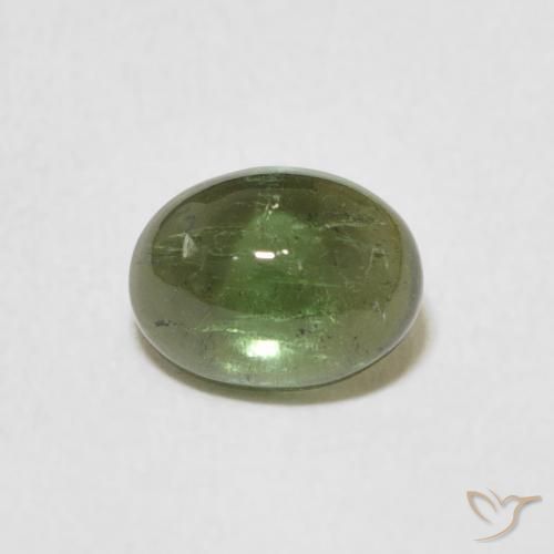 1.27ct 天然 ミディアムグリーン トルマリン, 楕円形, 透明
