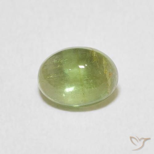 0.76ct 天然 ウォームグリーン トルマリン, 楕円形, 透明