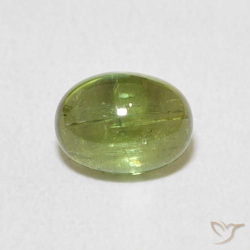 0.92ct 天然 ライブリーグリーン トルマリン, 楕円形, 透明