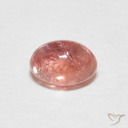 0.62ct 天然 インディアンレッド トルマリン, 楕円形, 透明