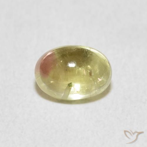 0.96ct 天然 バイカラー トルマリン, 楕円形, 透明