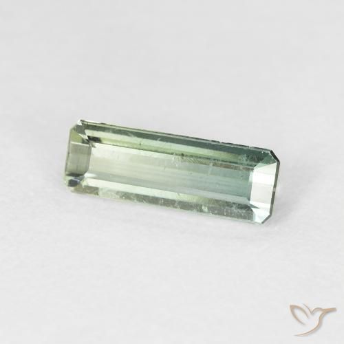 1.34カラットの天然薄いフォレストグリーントルマリン、八角形 / エメラルドカット、VS