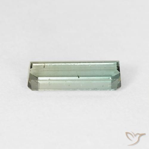1.34カラットの天然薄いフォレストグリーントルマリン、八角形 / エメラルドカット、VS