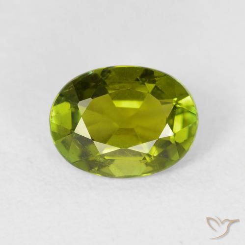 1.49ct 天然 ウォームフォレストグリーン トルマリン, 楕円形, VS