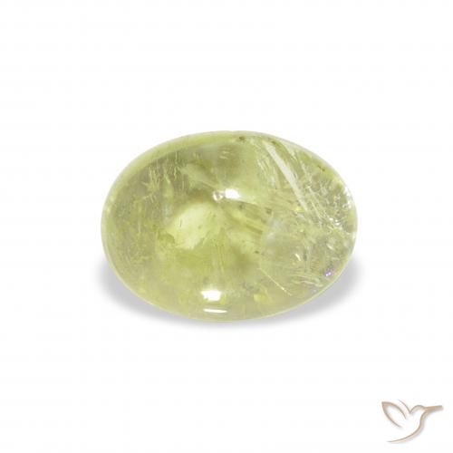 1.45ct 天然 ライムグリーン トルマリン, 楕円形, 透明