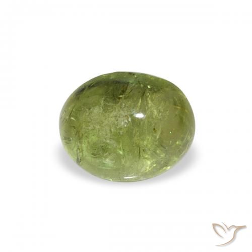 0.79ct 天然 ミディアムグリーン トルマリン, 楕円形, 透明
