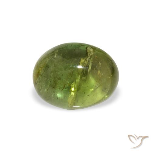 1.45ct 天然 ミディアムグリーン トルマリン, 楕円形, 透明