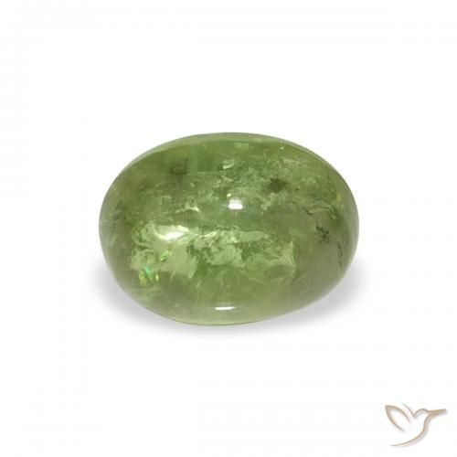 0.79ct 天然 ミディアムグリーン トルマリン, 楕円形, 透明