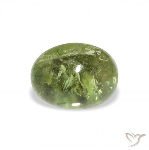 1.76ct 天然 ウォームグリーン トルマリン, 楕円形, 透明
