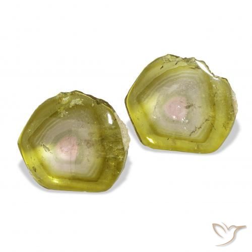 Shop natural 7.05ct ウォーターメロン トルマリン gems, ファンシー, from モザンビーグ at GemSelect. In stock, global shipping!