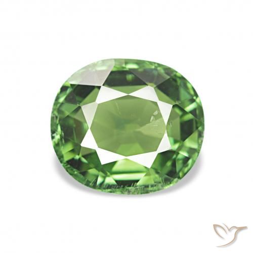 1.32ct ディープグリーン トルマリン, 楕円形, VS