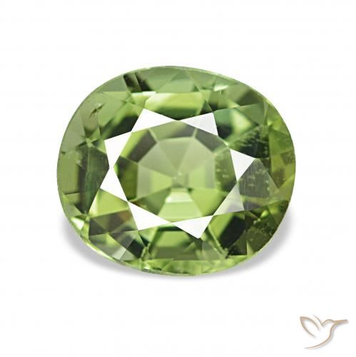 1.31ct ウォームグリーン トルマリン, 楕円形, VVS-VS