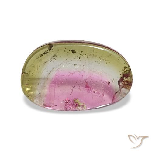1.66ct マルチカラー トルマリン, ファンシー, 透明