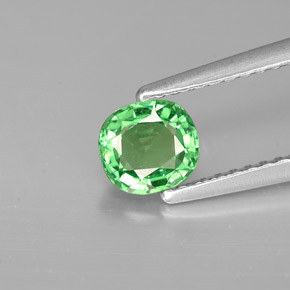 0.64カラットの天然クロムグリーンツァボライトガーネット（5.4×5 mm・クッションカット）