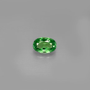 0.62カラットの天然クロムグリーンツァボライトガーネット（6.1×4.2 mm・オーバルカット）
