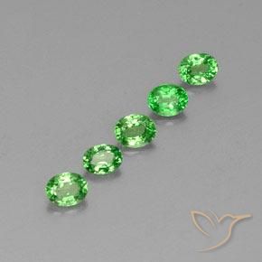 Shop natural 1.41ct ライブリーグリーン ツァボライトガーネット gems, 楕円形, from タンザニア at GemSelect. In stock, global shipping!