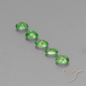Shop natural 1.41ct ライブリーグリーン ツァボライトガーネット gems, 楕円形, from タンザニア at GemSelect. In stock, global shipping!
