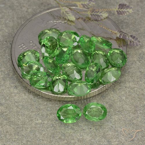 Shop natural 3.04ct ミディアムグリーン ツァボライトガーネット gems, 楕円形, from タンザニア at GemSelect. In stock, global shipping!