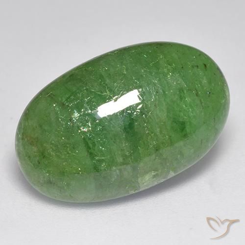 10.96ct 天然 ミディアムグリーン ツァボライトガーネット, 楕円形, 半透明