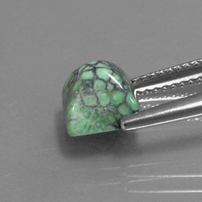 2.29カラットの天然グリーンターコイズ（7.1×7.1 mm・四角）