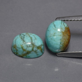 自然派の商品を探す ct ブルーグリーン ターコイズ 宝石, オーバルカット, アフガニスタン からGemSelectで. 在庫あり、世界各国へ発送!