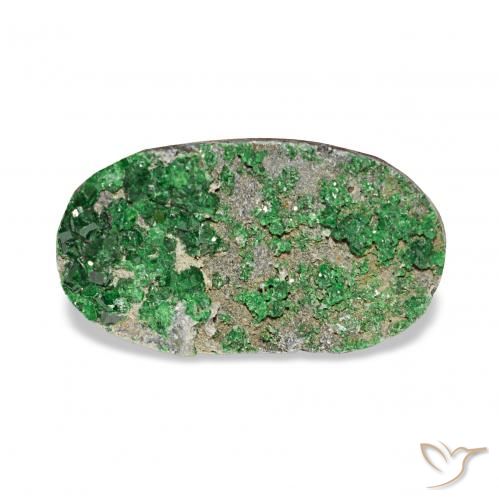 7.91ct Deep Earthy Green ウバロバイト ガーネットドゥルージー, 楕円形, オペーク