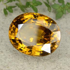 47.35カラットの天然ゴールデンイエロージルコン（22.5×18.1 mm・オーバルカット）