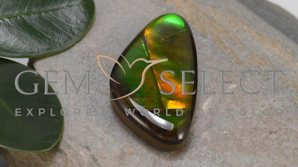 17.24カラットの天然マルチカラーアンモライト、ファンシーシェイプ